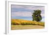 Napa Hillside in Autumn-Vincent James-Framed Photographic Print