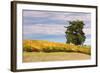 Napa Hillside in Autumn-Vincent James-Framed Photographic Print