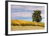 Napa Hillside in Autumn-Vincent James-Framed Photographic Print