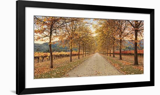 Napa Lane-Lance Kuehne-Framed Giclee Print