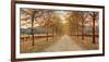 Napa Lane-Lance Kuehne-Framed Giclee Print