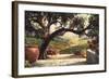 Napa Patio-Art Fronckowiak-Framed Art Print