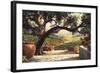 Napa Patio-Art Fronckowiak-Framed Art Print