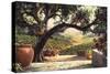 Napa Patio-Art Fronckowiak-Stretched Canvas