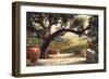 Napa Patio-Art Fronckowiak-Framed Premium Giclee Print