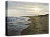 Napa Tree Point Walk-Bruce Dumas-Stretched Canvas