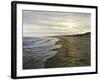 Napa Tree Point Walk-Bruce Dumas-Framed Giclee Print