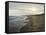 Napa Tree Point Walk-Bruce Dumas-Framed Stretched Canvas