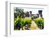 Napa Valley Dream Castle-George Oze-Framed Photographic Print