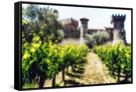 Napa Valley Dream Castle-George Oze-Framed Stretched Canvas