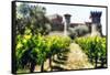 Napa Valley Dream Castle-George Oze-Framed Stretched Canvas