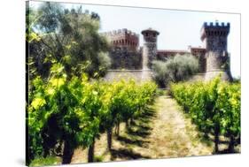 Napa Valley Dream Castle-George Oze-Stretched Canvas