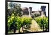 Napa Valley Dream Castle-George Oze-Framed Photographic Print