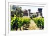 Napa Valley Dream Castle-George Oze-Framed Photographic Print