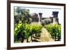 Napa Valley Dream Castle-George Oze-Framed Photographic Print