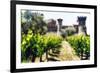 Napa Valley Dream Castle-George Oze-Framed Photographic Print