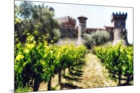 Napa Valley Dream Castle-George Oze-Mounted Photographic Print