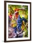 Napa Valley Fruit-George Oze-Framed Photographic Print