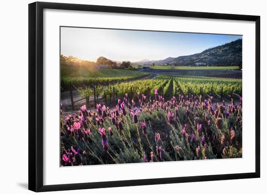 Napa Valley Spring Afternoon-George Oze-Framed Photographic Print