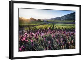 Napa Valley Spring Afternoon-George Oze-Framed Photographic Print