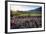 Napa Valley Spring Afternoon-George Oze-Framed Photographic Print