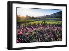 Napa Valley Spring Afternoon-George Oze-Framed Photographic Print