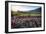 Napa Valley Spring Afternoon-George Oze-Framed Photographic Print