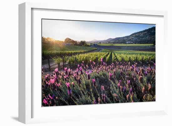 Napa Valley Spring Afternoon-George Oze-Framed Photographic Print