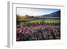 Napa Valley Spring Afternoon-George Oze-Framed Photographic Print