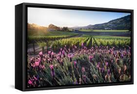 Napa Valley Spring Afternoon-George Oze-Framed Stretched Canvas