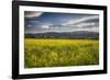 Napa Valley Spring Meadow, California-George Oze-Framed Photographic Print