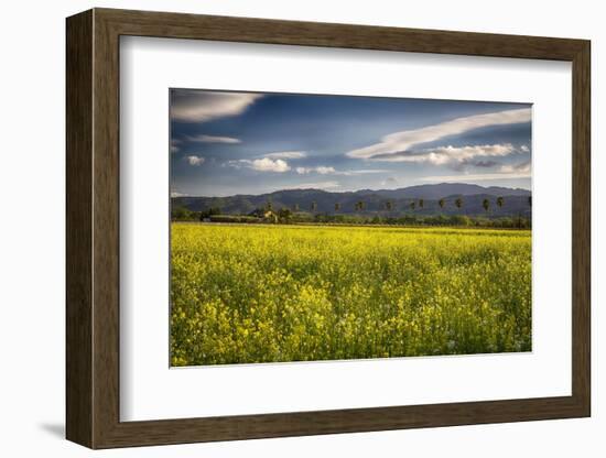 Napa Valley Spring Meadow, California-George Oze-Framed Photographic Print