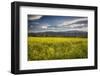 Napa Valley Spring Meadow, California-George Oze-Framed Photographic Print