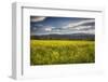 Napa Valley Spring Meadow, California-George Oze-Framed Photographic Print