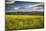 Napa Valley Spring Meadow, California-George Oze-Mounted Photographic Print