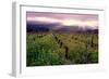 Napa Valley Sunset, Oakville, California-George Oze-Framed Photographic Print