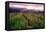 Napa Valley Sunset, Oakville, California-George Oze-Framed Stretched Canvas