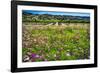 Napa Valley Wildflowers And Grapevines-George Oze-Framed Photographic Print