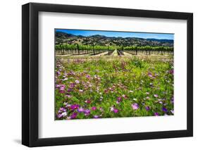 Napa Valley Wildflowers And Grapevines-George Oze-Framed Photographic Print