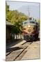 Napa Valley Wine Train in Train Station, California, USA-Cindy Miller Hopkins-Mounted Photographic Print