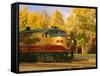 Napa Valley Wine Train Rolls through Rutherford, California, USA-John Alves-Framed Stretched Canvas