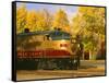 Napa Valley Wine Train Rolls through Rutherford, California, USA-John Alves-Framed Stretched Canvas