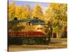 Napa Valley Wine Train Rolls through Rutherford, California, USA-John Alves-Stretched Canvas