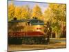 Napa Valley Wine Train Rolls through Rutherford, California, USA-John Alves-Mounted Premium Photographic Print