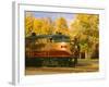 Napa Valley Wine Train Rolls through Rutherford, California, USA-John Alves-Framed Photographic Print