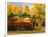 Napa Valley Wine Train Rolls through Rutherford, California, USA-John Alves-Framed Photographic Print