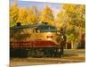 Napa Valley Wine Train Rolls through Rutherford, California, USA-John Alves-Mounted Photographic Print