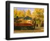 Napa Valley Wine Train Rolls through Rutherford, California, USA-John Alves-Framed Photographic Print