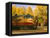 Napa Valley Wine Train Rolls through Rutherford, California, USA-John Alves-Framed Stretched Canvas