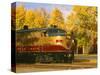 Napa Valley Wine Train Rolls through Rutherford, California, USA-John Alves-Stretched Canvas